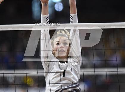 Thumbnail 2 in Merino vs. Fleming (CHSAA 1A Semifinal) photogallery.