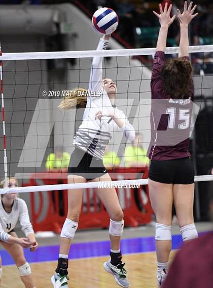 Thumbnail 2 in Merino vs. Fleming (CHSAA 1A Semifinal) photogallery.