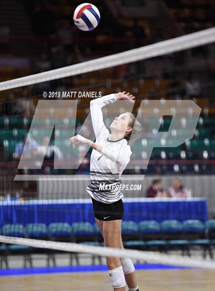 Thumbnail 2 in Merino vs. Fleming (CHSAA 1A Semifinal) photogallery.
