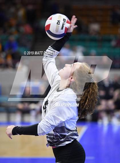 Thumbnail 2 in Merino vs. Fleming (CHSAA 1A Semifinal) photogallery.