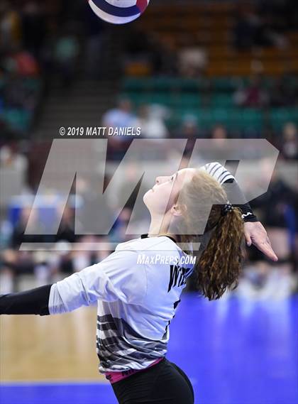 Thumbnail 1 in Merino vs. Fleming (CHSAA 1A Semifinal) photogallery.
