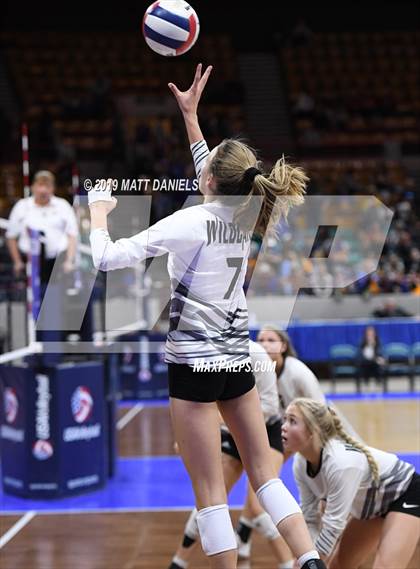 Thumbnail 3 in Merino vs. Fleming (CHSAA 1A Semifinal) photogallery.