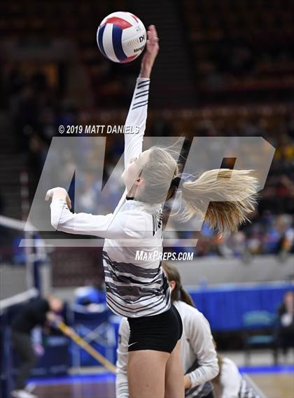 Thumbnail 3 in Merino vs. Fleming (CHSAA 1A Semifinal) photogallery.