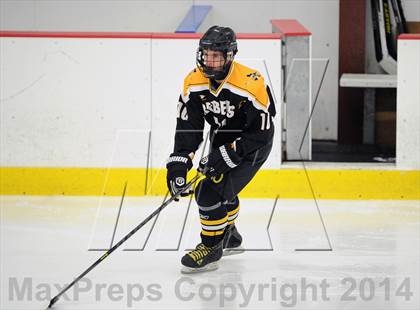 Thumbnail 3 in Lakeland-Panas @ John Jay photogallery.