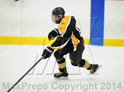 Thumbnail 3 in Lakeland-Panas @ John Jay photogallery.