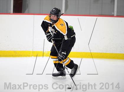 Thumbnail 3 in Lakeland-Panas @ John Jay photogallery.