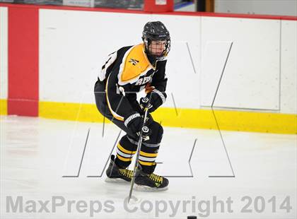 Thumbnail 1 in Lakeland-Panas @ John Jay photogallery.