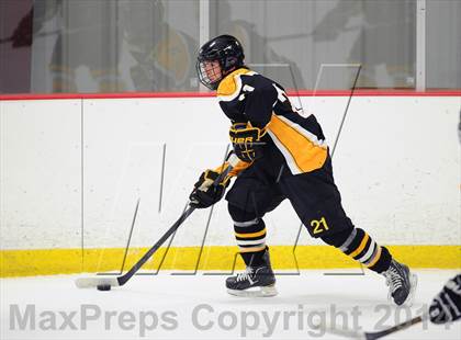 Thumbnail 3 in Lakeland-Panas @ John Jay photogallery.