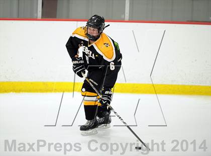 Thumbnail 1 in Lakeland-Panas @ John Jay photogallery.