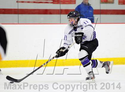 Thumbnail 1 in Lakeland-Panas @ John Jay photogallery.