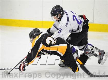 Thumbnail 3 in Lakeland-Panas @ John Jay photogallery.