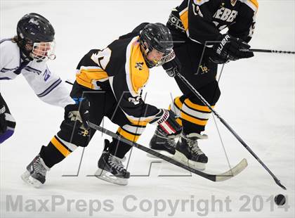 Thumbnail 2 in Lakeland-Panas @ John Jay photogallery.