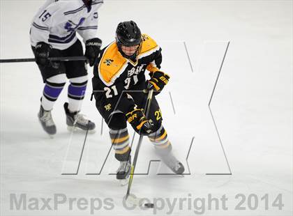 Thumbnail 2 in Lakeland-Panas @ John Jay photogallery.