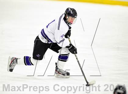 Thumbnail 2 in Lakeland-Panas @ John Jay photogallery.