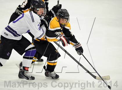 Thumbnail 1 in Lakeland-Panas @ John Jay photogallery.