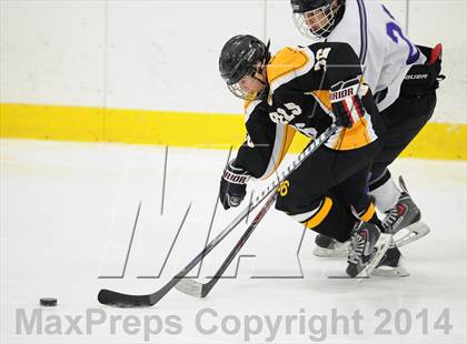 Thumbnail 2 in Lakeland-Panas @ John Jay photogallery.