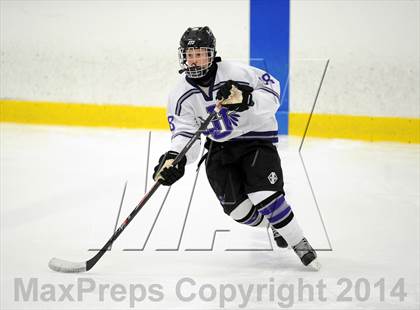 Thumbnail 2 in Lakeland-Panas @ John Jay photogallery.