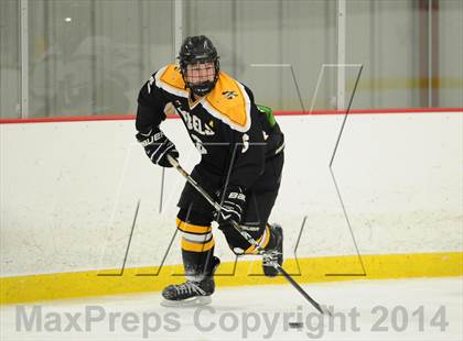 Thumbnail 2 in Lakeland-Panas @ John Jay photogallery.
