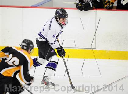Thumbnail 3 in Lakeland-Panas @ John Jay photogallery.