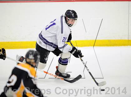 Thumbnail 3 in Lakeland-Panas @ John Jay photogallery.