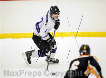 Thumbnail 3 in Lakeland-Panas @ John Jay photogallery.