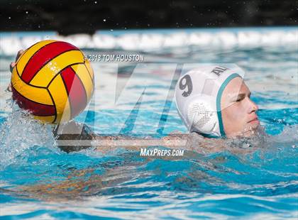 Thumbnail 3 in Palos Verdes vs Aliso Niguel (D2 Showcase) photogallery.