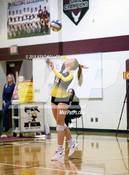 Thumbnail 1 in Fraser vs Grosse Pointe South (MHSAA Regional Quarterfinal) photogallery.