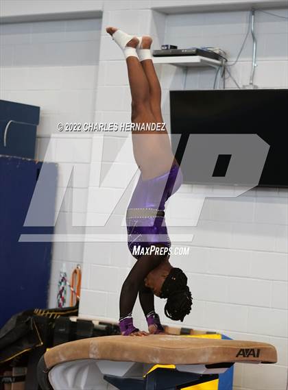 Thumbnail 2 in Texas High School Gymnastics Coaches Association Region II Championship (Vault) photogallery.