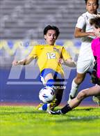 Photo from the gallery "Newark Memorial vs. Alameda"