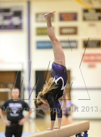 Thumbnail 1 in Palatine @ Rolling Meadows photogallery.