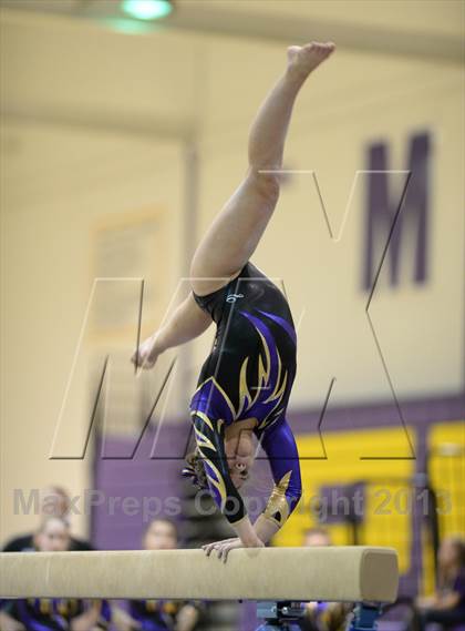 Thumbnail 3 in Palatine @ Rolling Meadows photogallery.