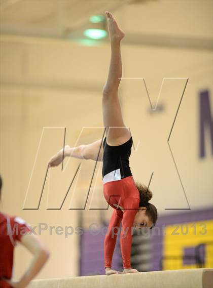 Thumbnail 2 in Palatine @ Rolling Meadows photogallery.