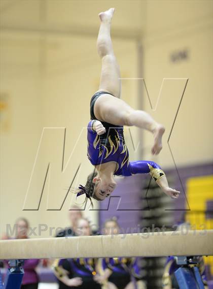 Thumbnail 2 in Palatine @ Rolling Meadows photogallery.