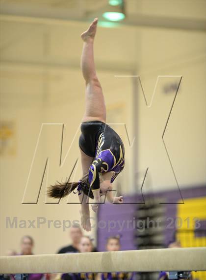 Thumbnail 3 in Palatine @ Rolling Meadows photogallery.