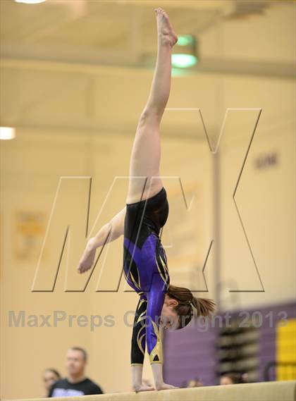 Thumbnail 3 in Palatine @ Rolling Meadows photogallery.