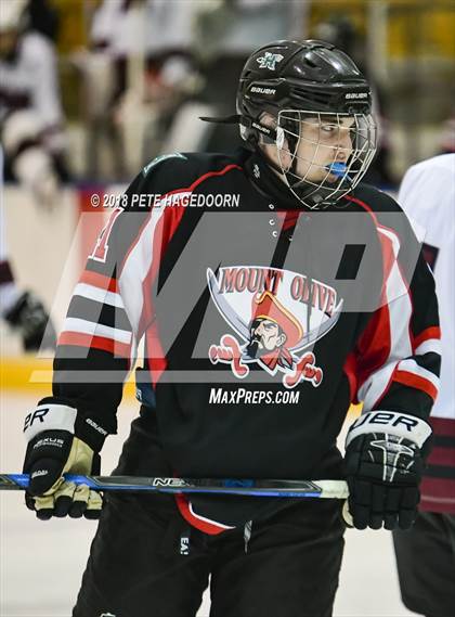Thumbnail 2 in Mount Olive @  Park Regional [Hanover Park/Whippany Park] photogallery.