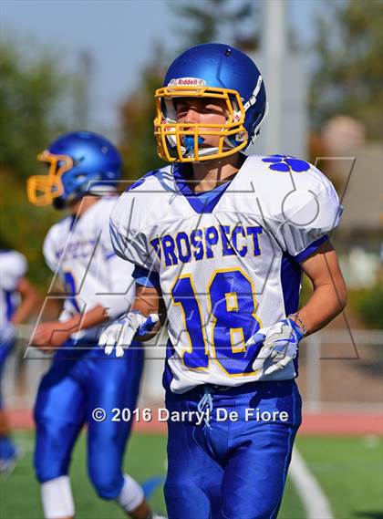 Thumbnail 2 in Prospect @ Lynbrook photogallery.