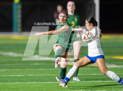 Thumbnail 1 in Harbor vs King City photogallery.