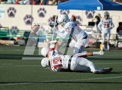 Thumbnail 1 in Garfield vs Roosevelt  photogallery.