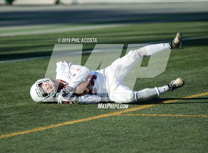 Thumbnail 3 in Garfield vs Roosevelt  photogallery.