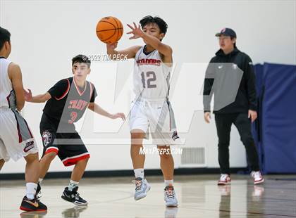 Thumbnail 3 in Troy @ Bolsa Grande photogallery.