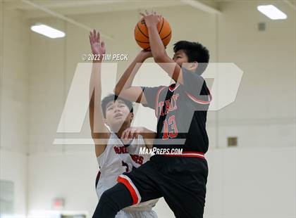 Thumbnail 3 in Troy @ Bolsa Grande photogallery.