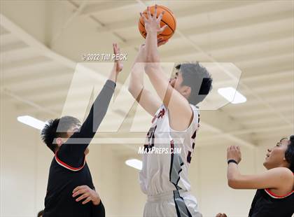 Thumbnail 1 in Troy @ Bolsa Grande photogallery.