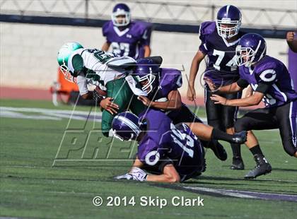 Thumbnail 3 in Lincoln @ Carlsbad photogallery.