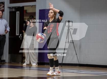 Thumbnail 3 in Center Hill @ DeSoto Central photogallery.