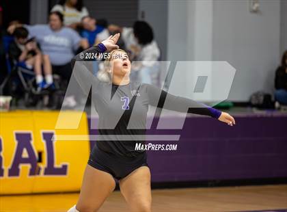 Thumbnail 2 in Center Hill @ DeSoto Central photogallery.