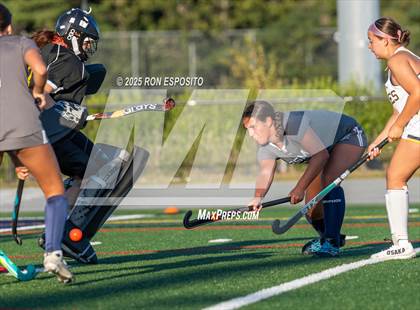 Thumbnail 3 in Babylon @ Eastport-South Manor photogallery.