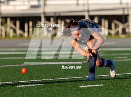 Thumbnail 3 in Babylon @ Eastport-South Manor photogallery.