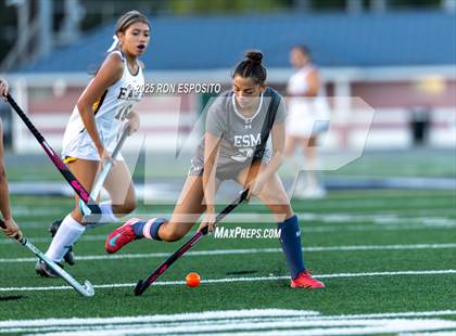 Thumbnail 3 in Babylon @ Eastport-South Manor photogallery.