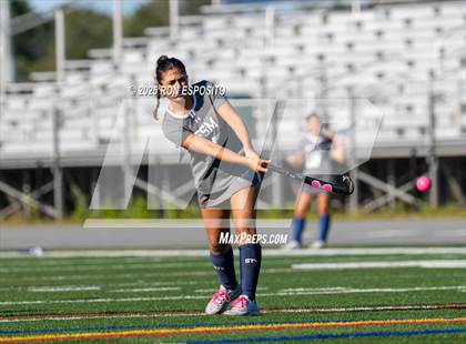 Thumbnail 2 in Babylon @ Eastport-South Manor photogallery.